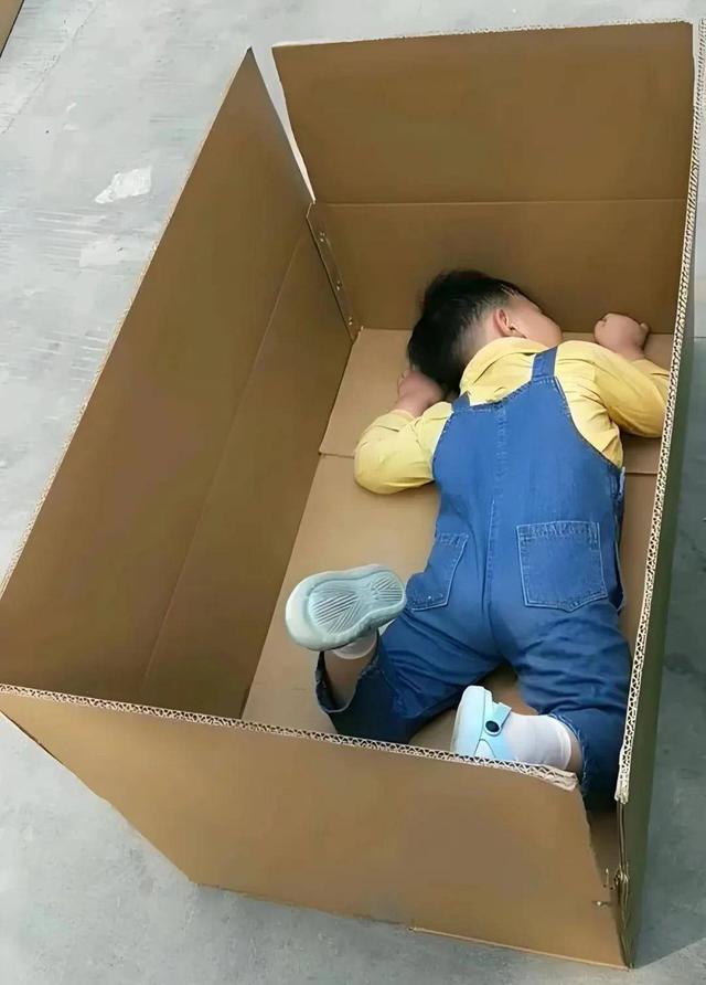21401ee3c0c7ccf75557.jpg