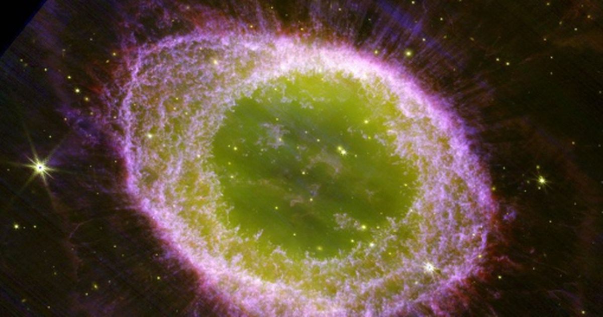 215cb9780f44e8750fd8.jpg