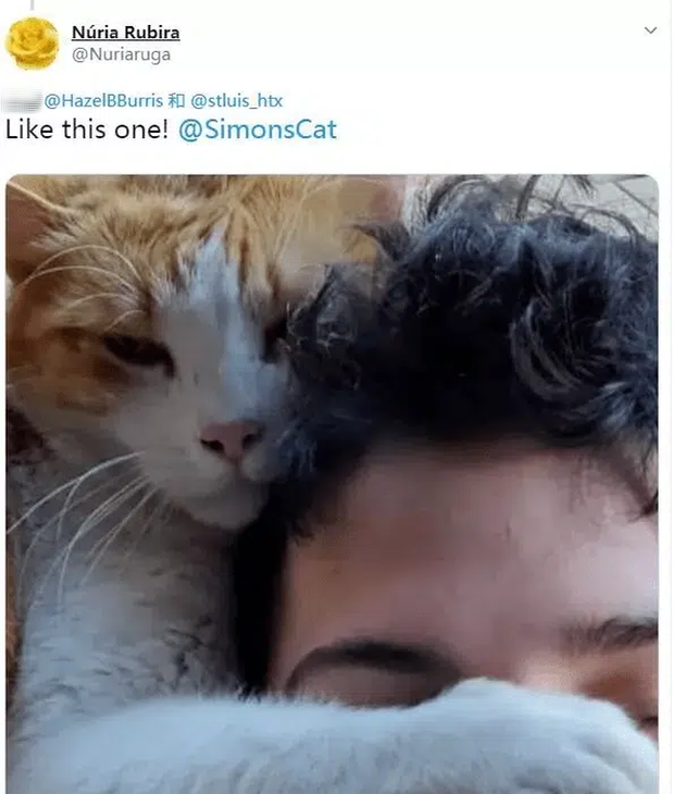 2191180058f4823e019f.png