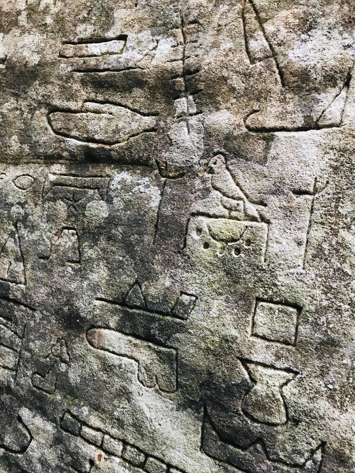 21a48bce4312784abe23.jpg