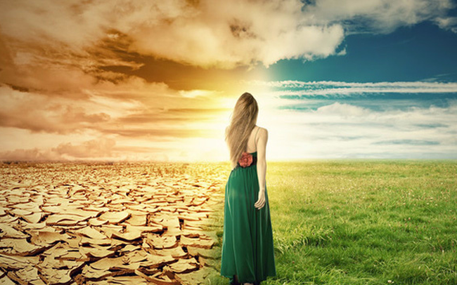 21bfbf431c3596fd3a0f.png
