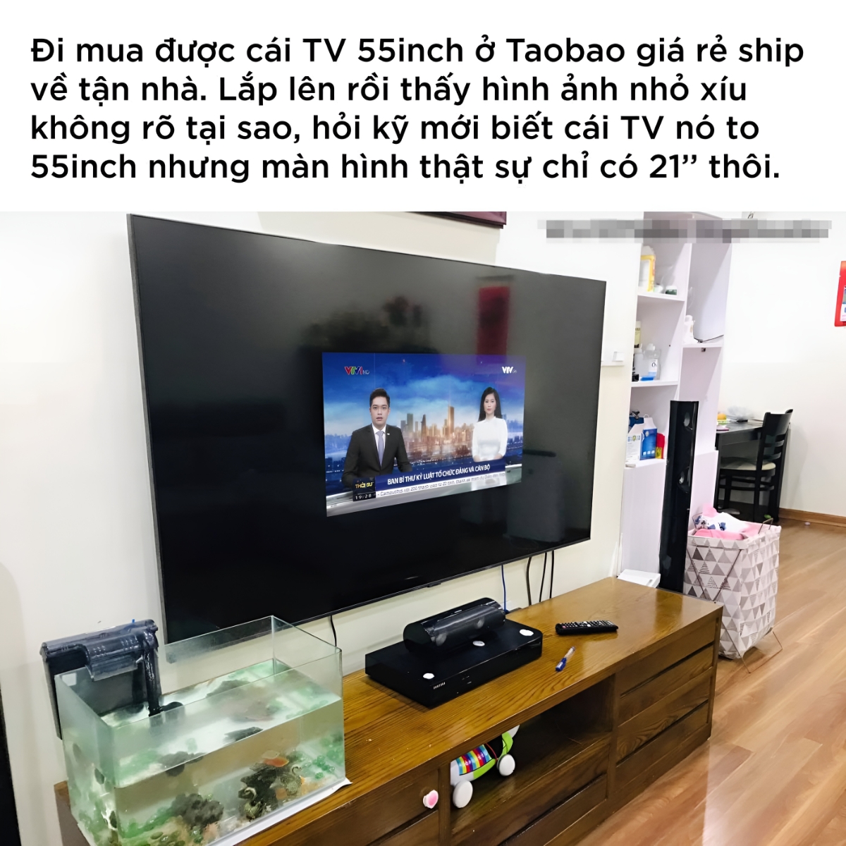 228684438b9f4ab64181.jpg
