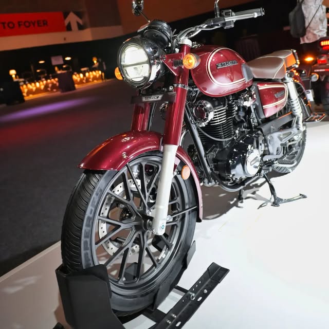 22afbc1043d3765ffc8b.jpg