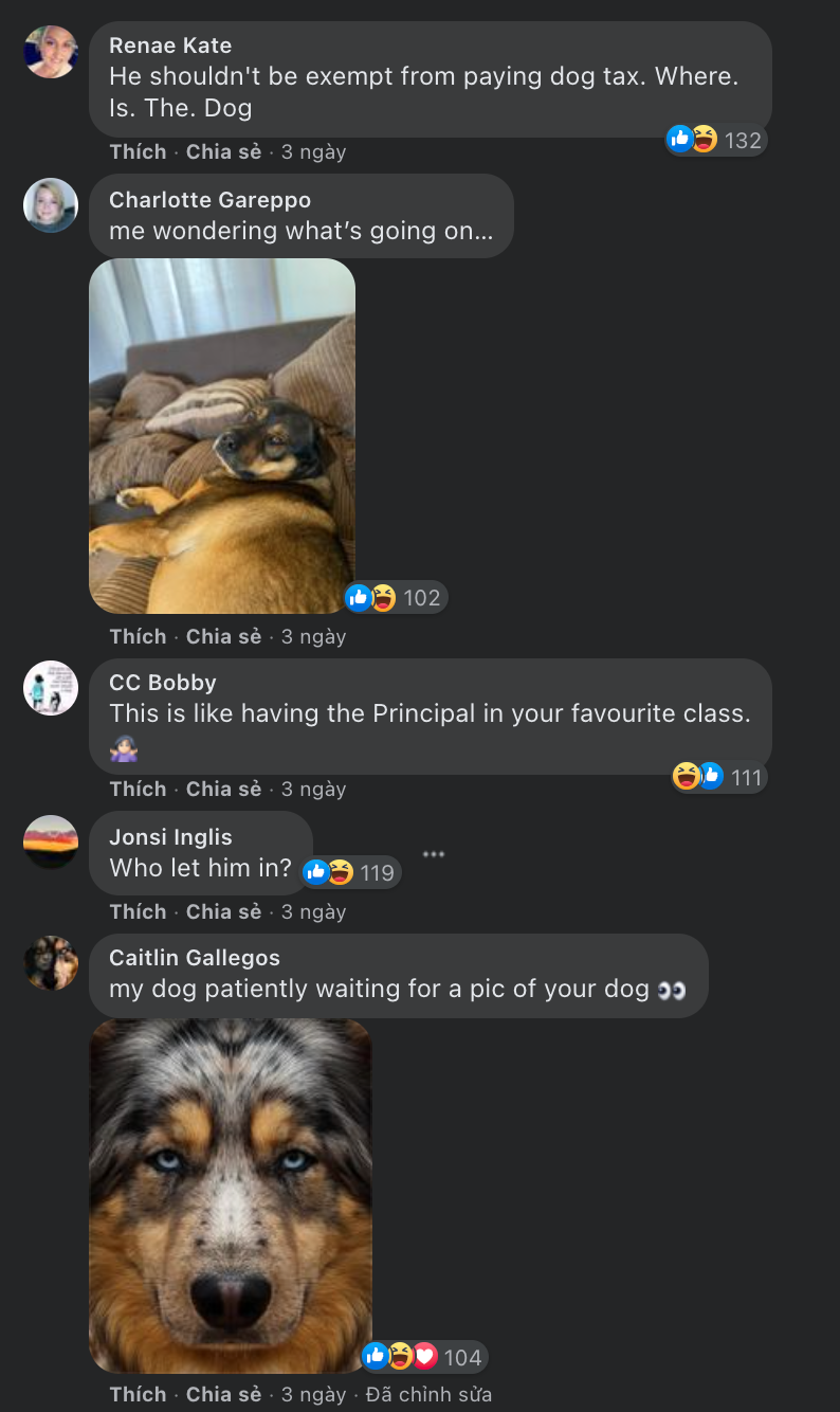 22b2caf9ba180f358cd3.png