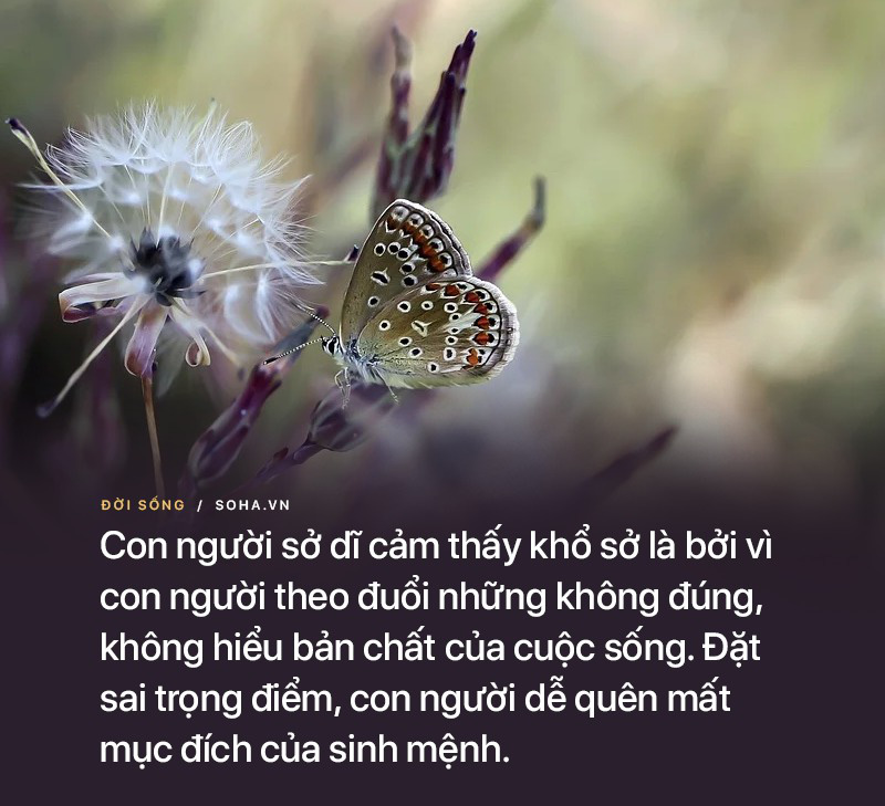 22eea60b7338fd289f80.jpg