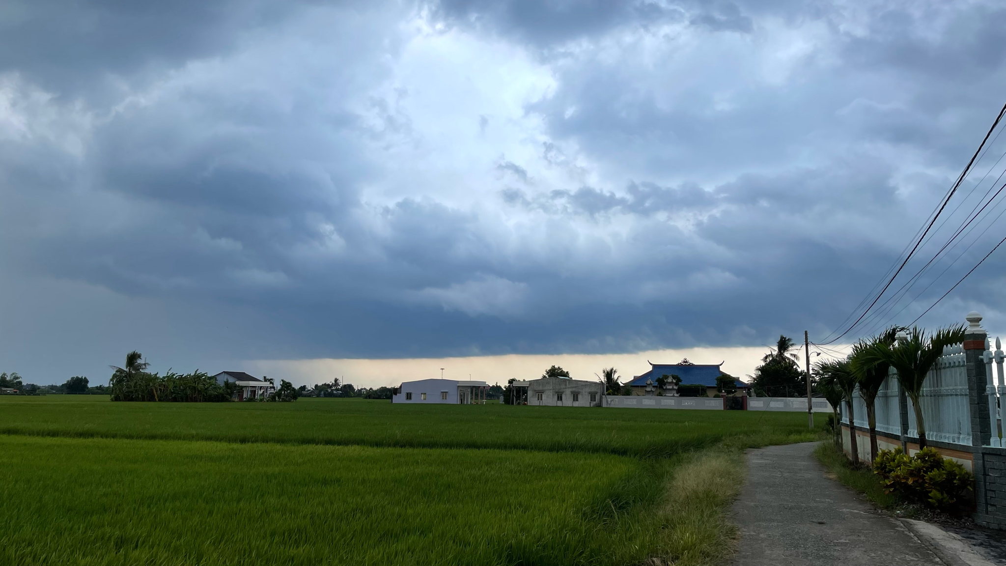 230cb0dc4784fcc9d148.jpg