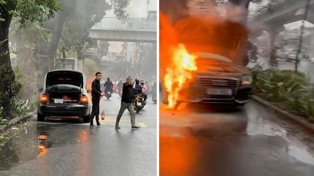 23ab0519ff5adf3a52ad.jpg