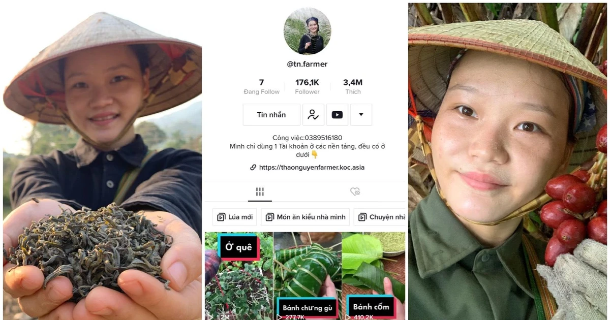 Thảo Nguyên Farmer: Dù thế nào thì cuối cùng vẫn phải lao động thôi!