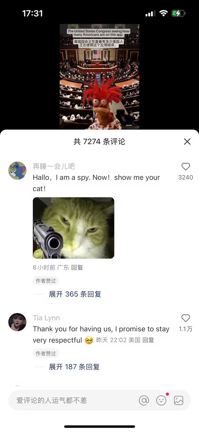23e063e49065f9c8232d.jpg