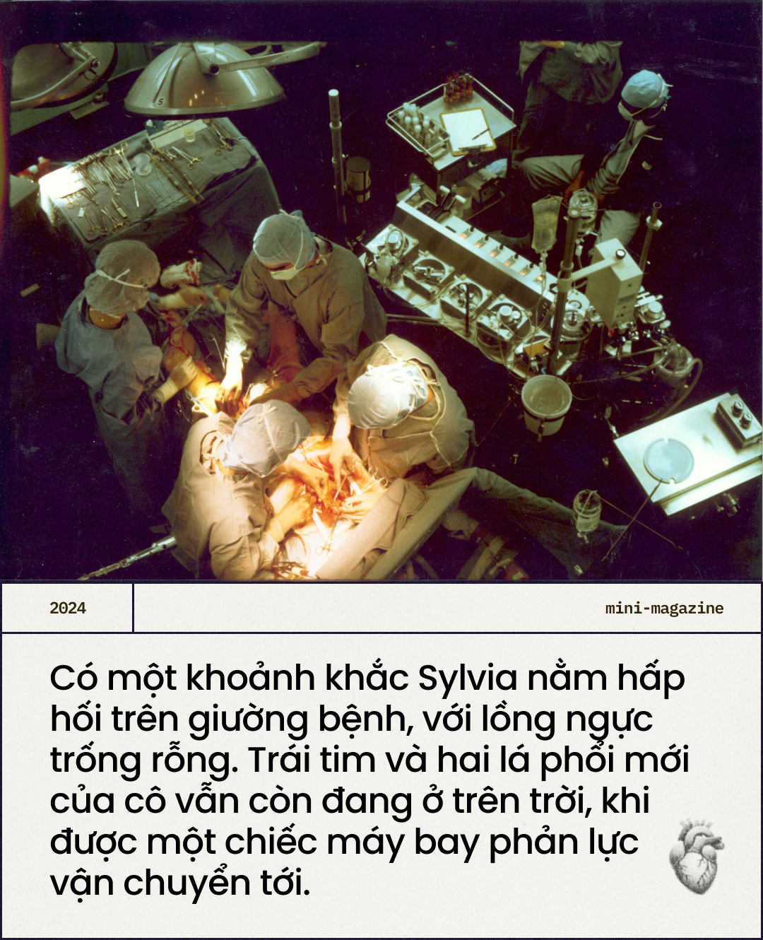 23f5bad3a7899f838fd6.jpg