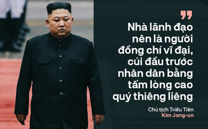 23f7b82f8510f82d3393.png