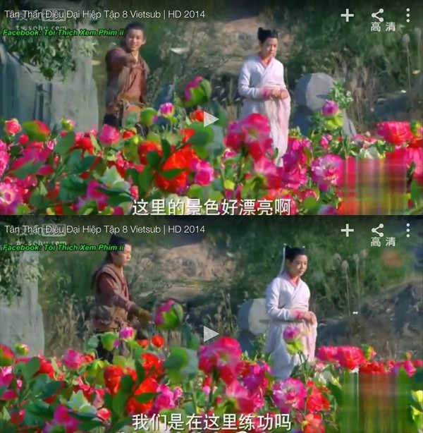 240a6414b47bc39e9b39.jpg