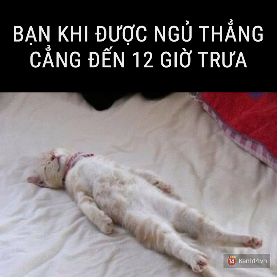 241858df448abc56f6da.png