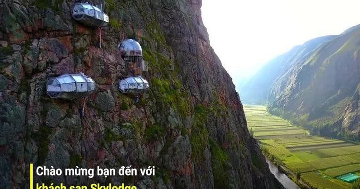 2443fa9d08207b4af5fc.jpg