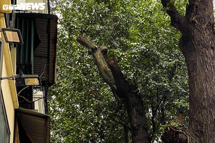 2456ad43acc987092557.jpg