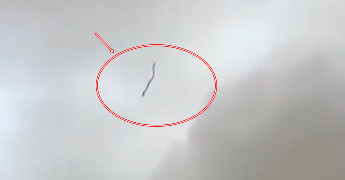 24996315065762c4d457.png