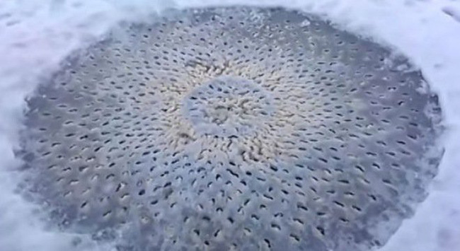 24d66db483a7d16f1a21.jpg
