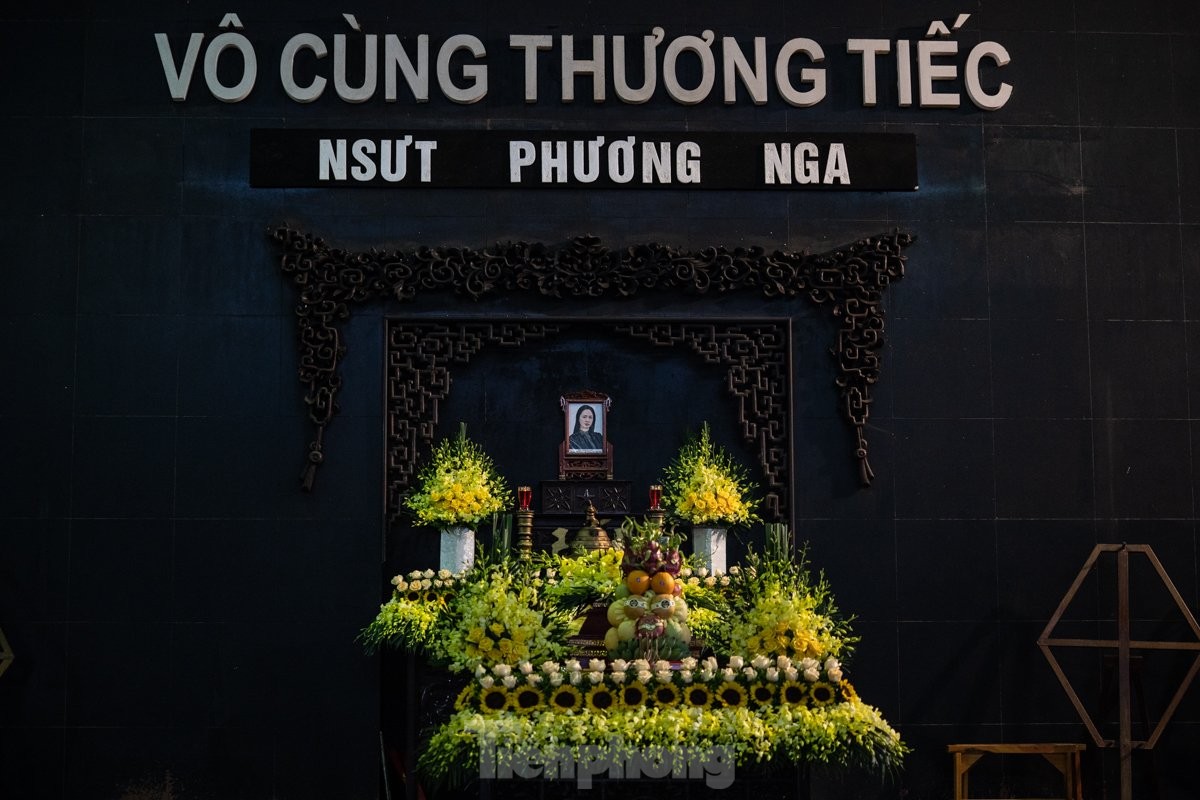 24fa8718d835610ea317.jpg