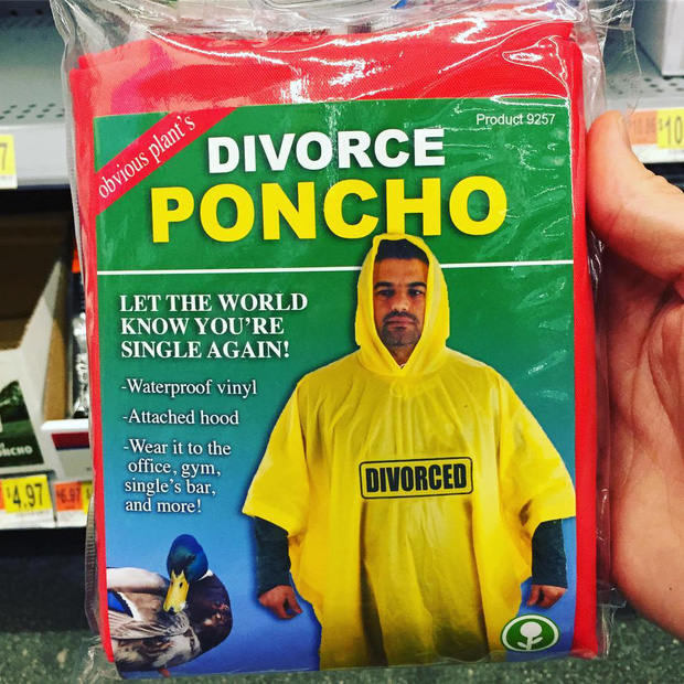 253036849b4b08853d35.jpg