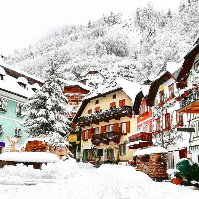 256bf5ff72883235cd90.jpg