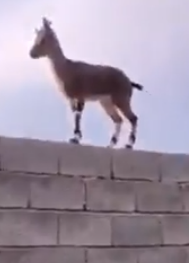 25ec738a273512e0b697.png