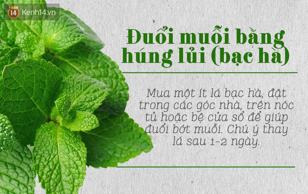 265d77a5e666ffd449b0.png