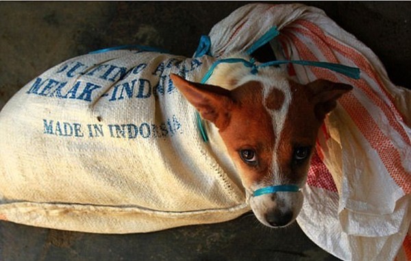 26b26766583942b07422.jpg