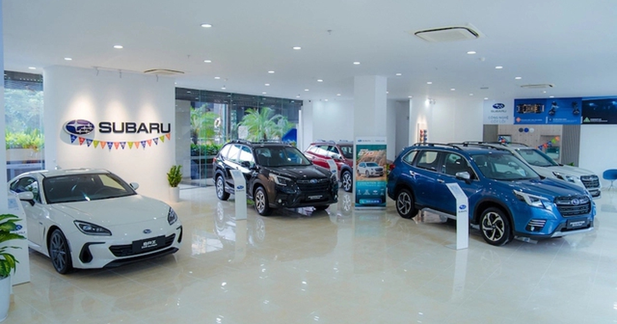 270f8e65d47a744b166b.jpg