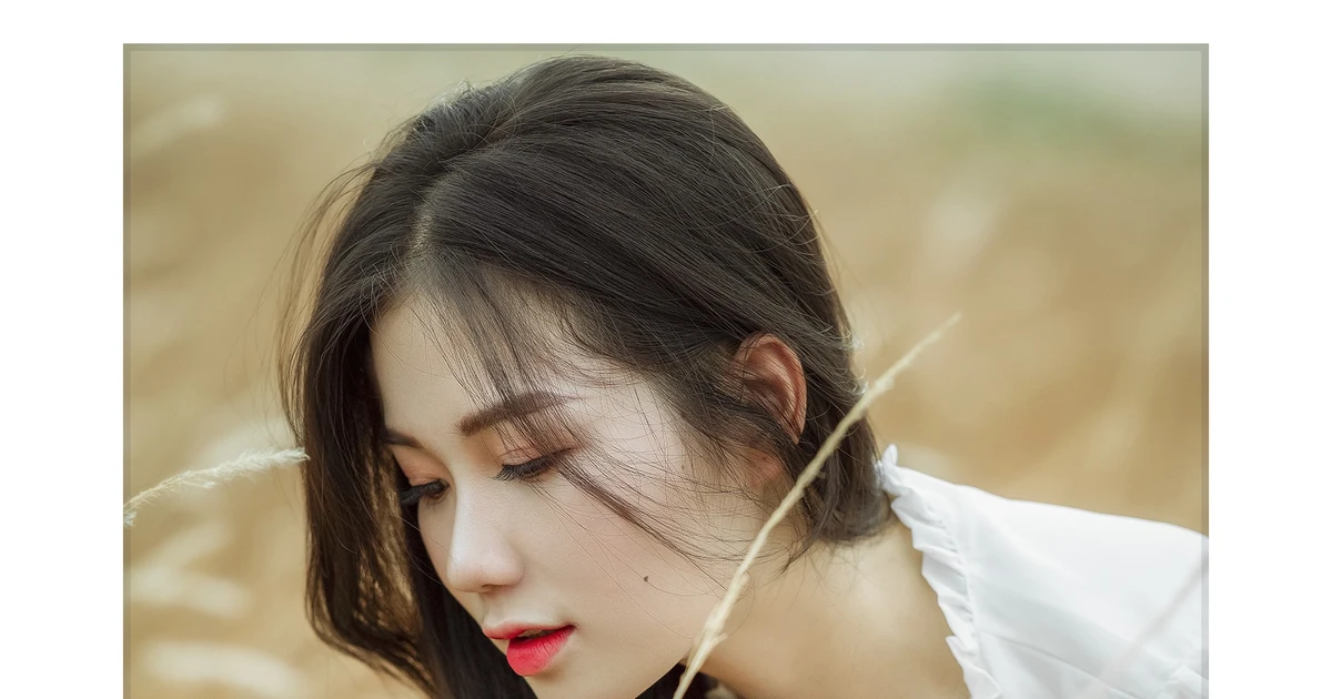 2785e73976ff677468cc.webp