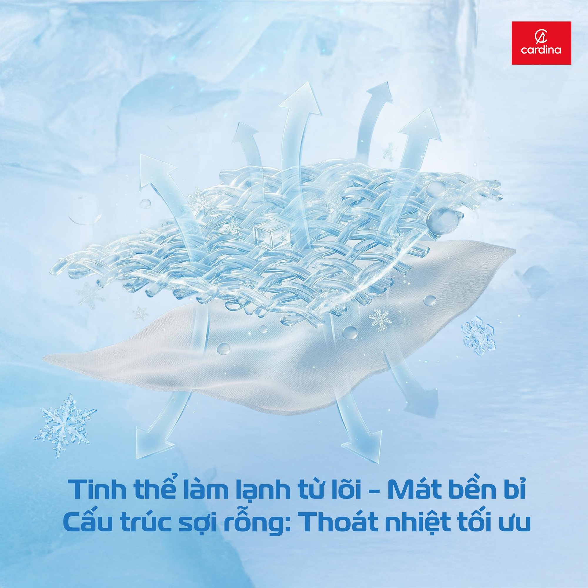 27aa8c33ddb8d603b321.jpg