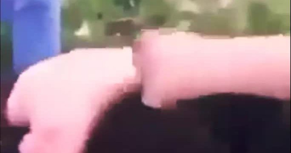 27b0a2fd8111c1af30e9.jpg