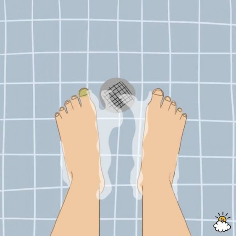 27d893f6e1fd6f69a1a8.jpg