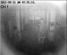27f58617b6812953c802.jpg