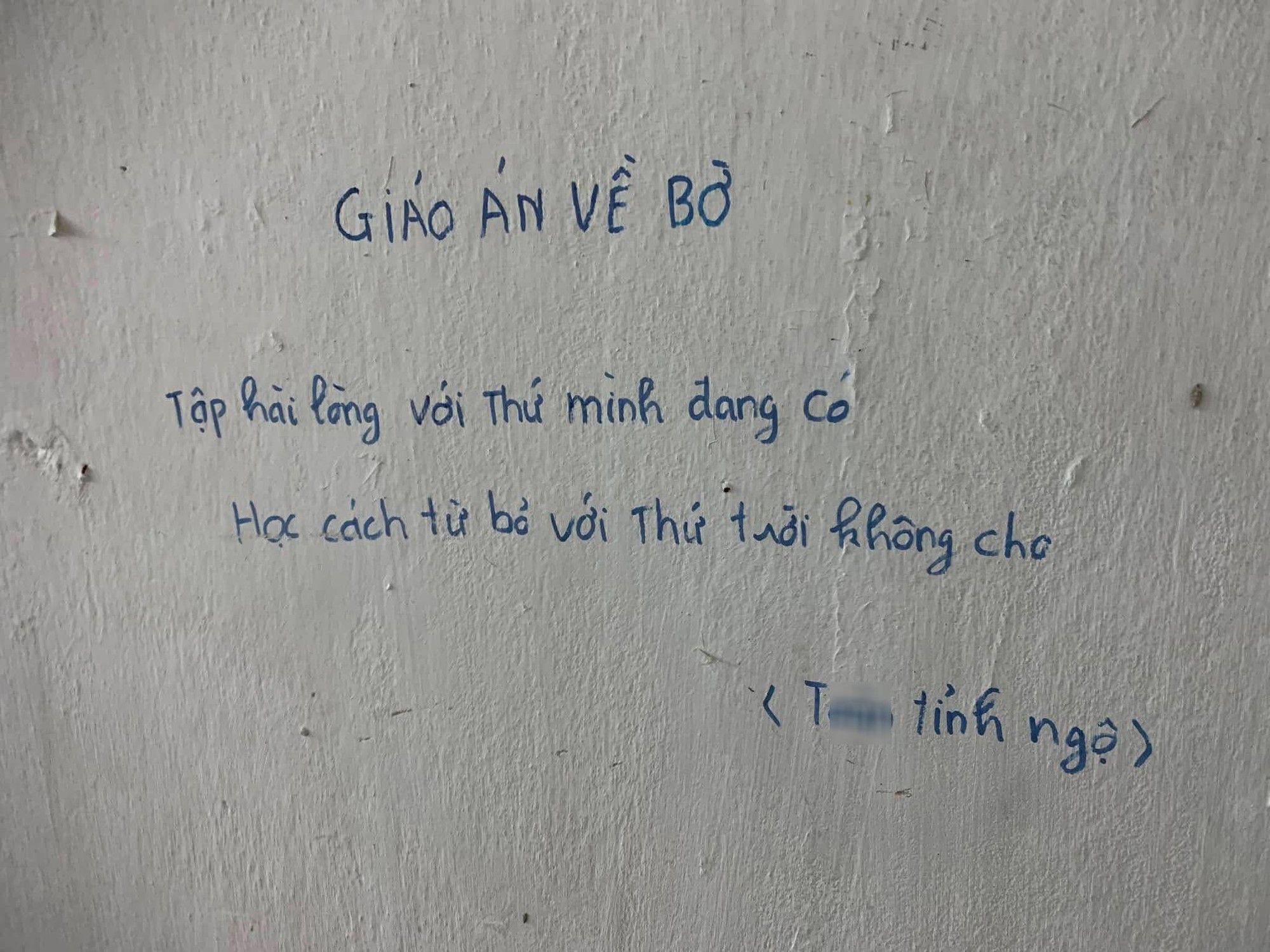 284876f9621604b48516.jpg
