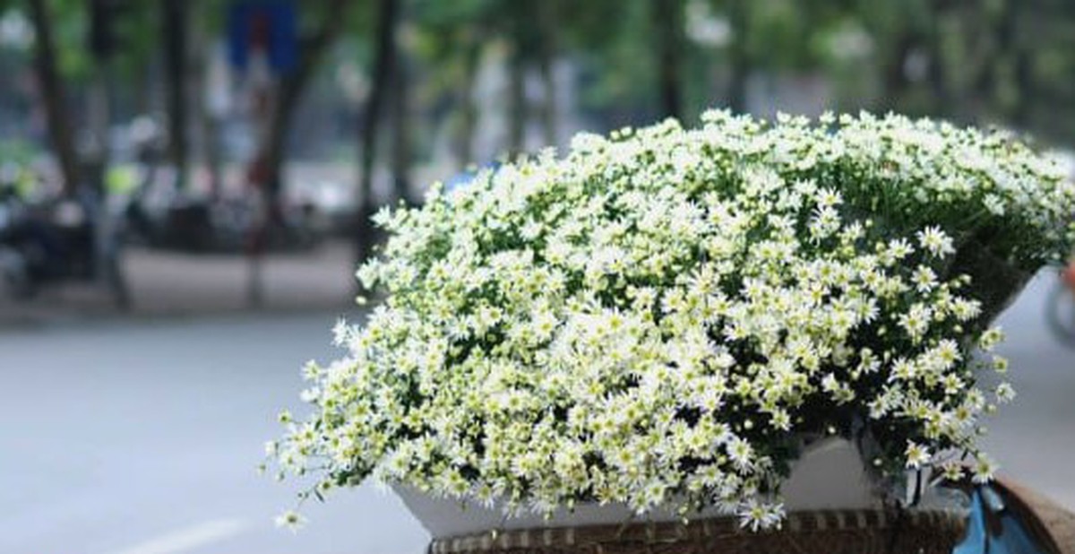 289bda9ad5201097ce99.jpg