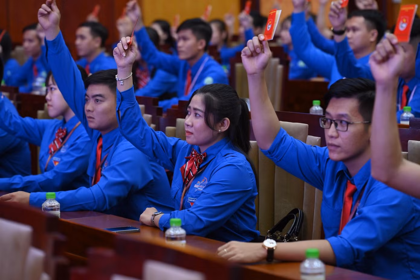 28cbd3481a70de1258ed.jpg