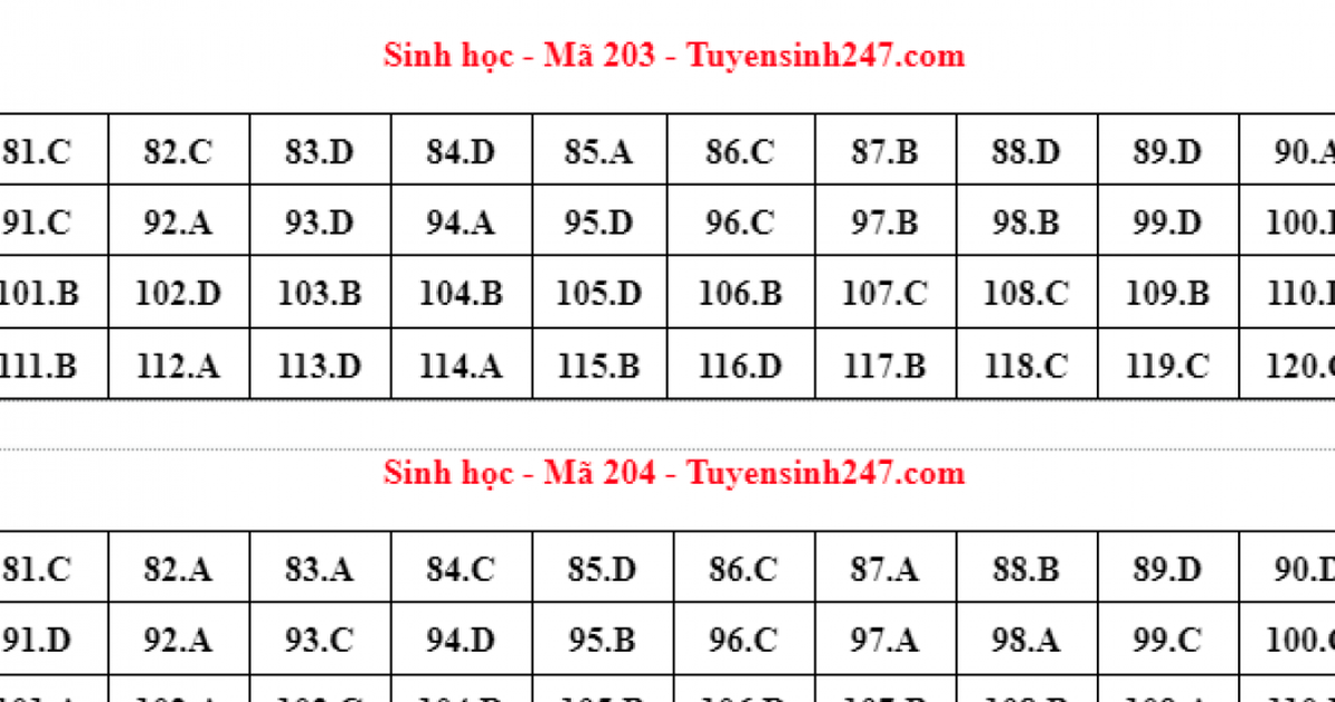 28cdf4e5adf6465a78bd.png