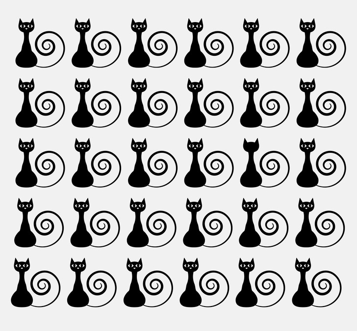 28d564f959d8460b0d86.jpg