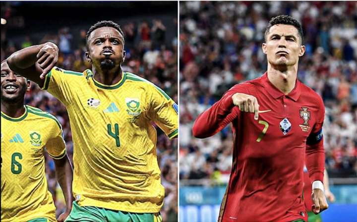 28f3eadea37d033e1f57.jpg