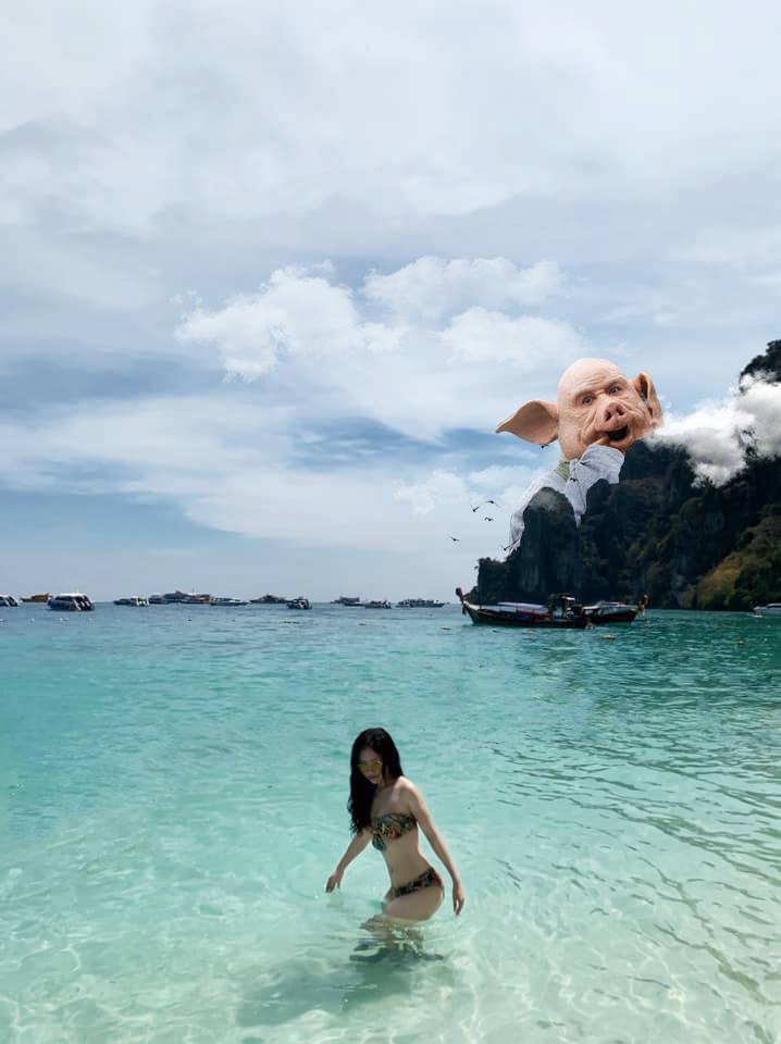 293c53e89f8b59d16e50.jpg