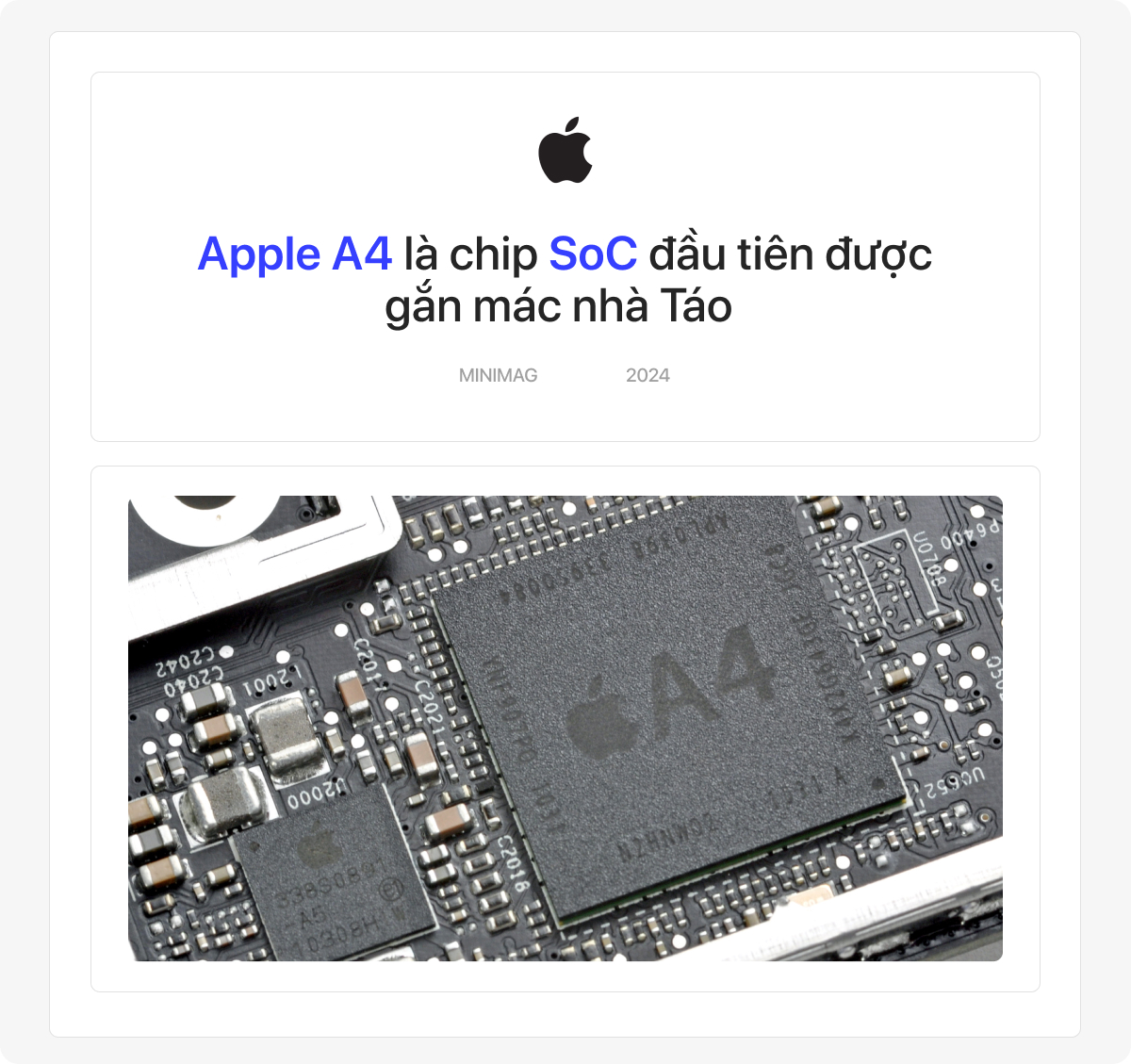 29402c2fcf3bfab661ef.jpg
