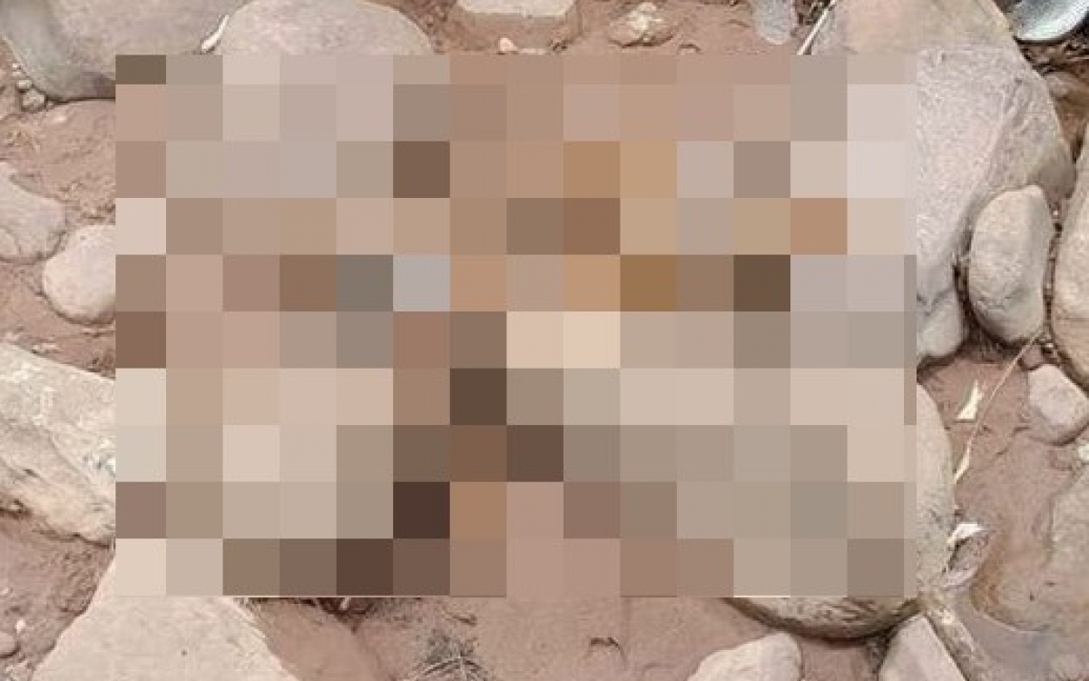 2950bc0bb897ca402c71.jpg