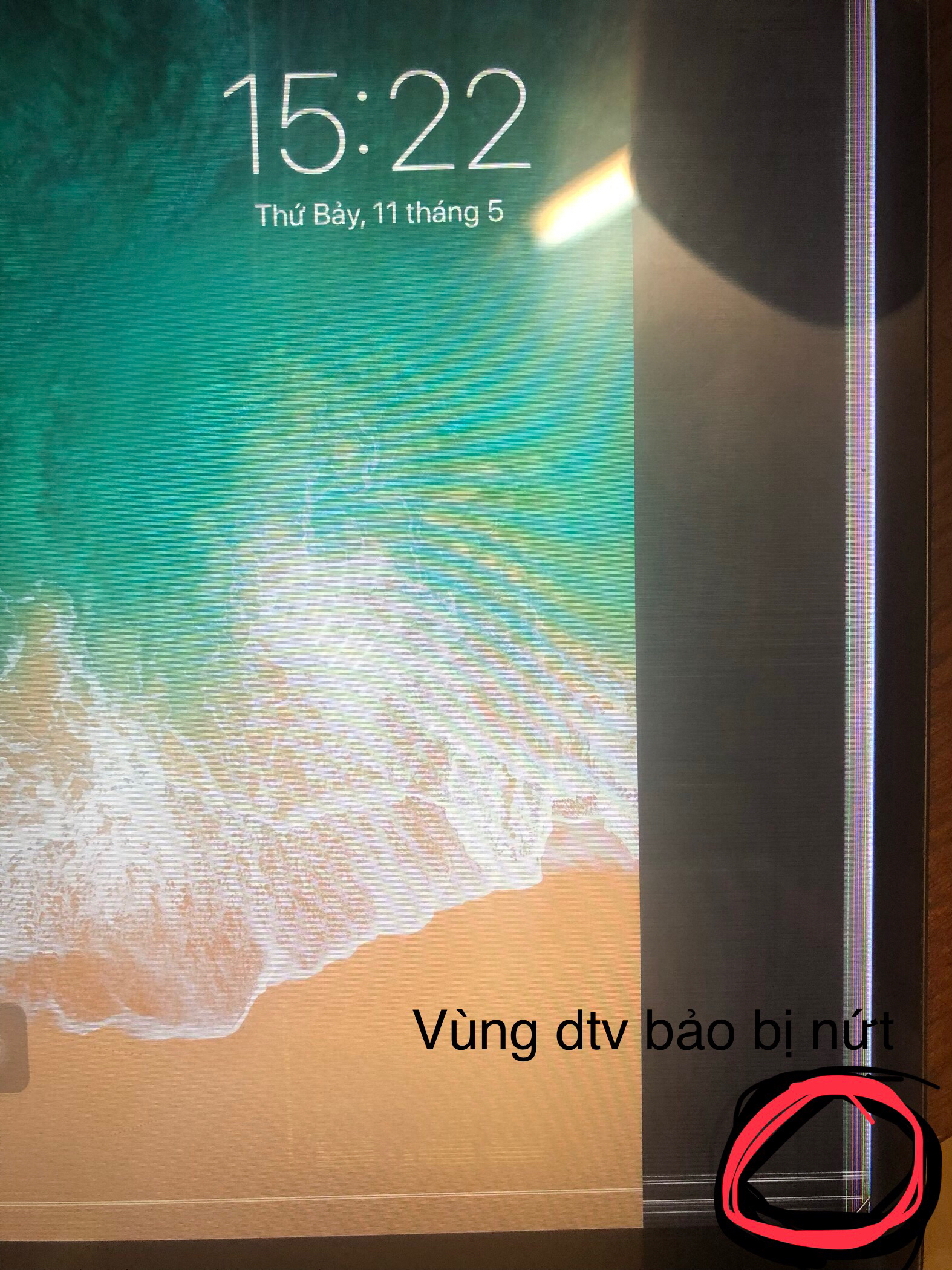 2964d182a0fc01df9926.jpg