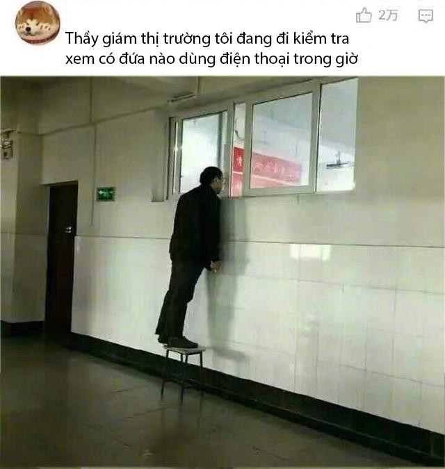 29867db19ca50fdaa94f.jpg