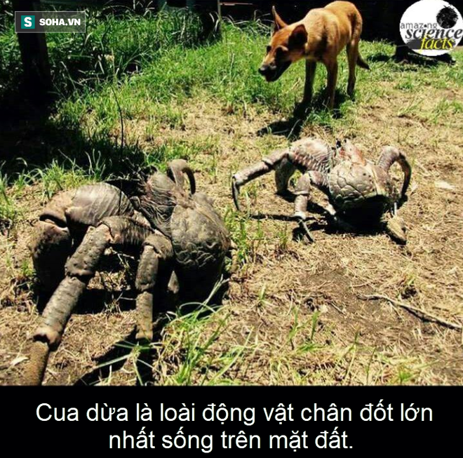 299a9f076cdd97013066.png