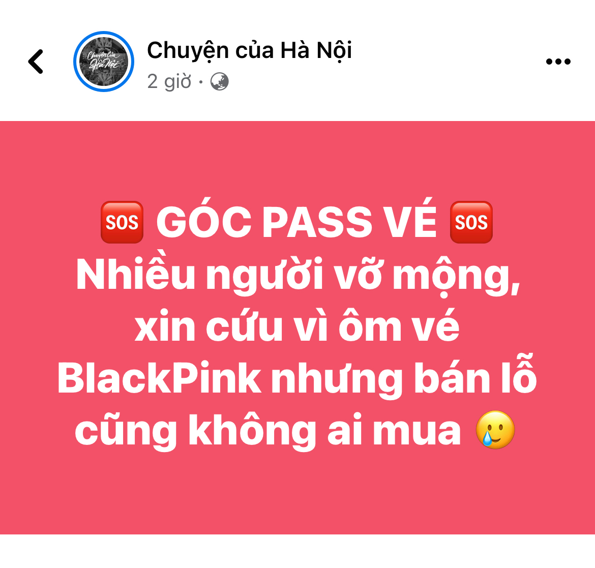 29f0f9cb73762682832f.jpg