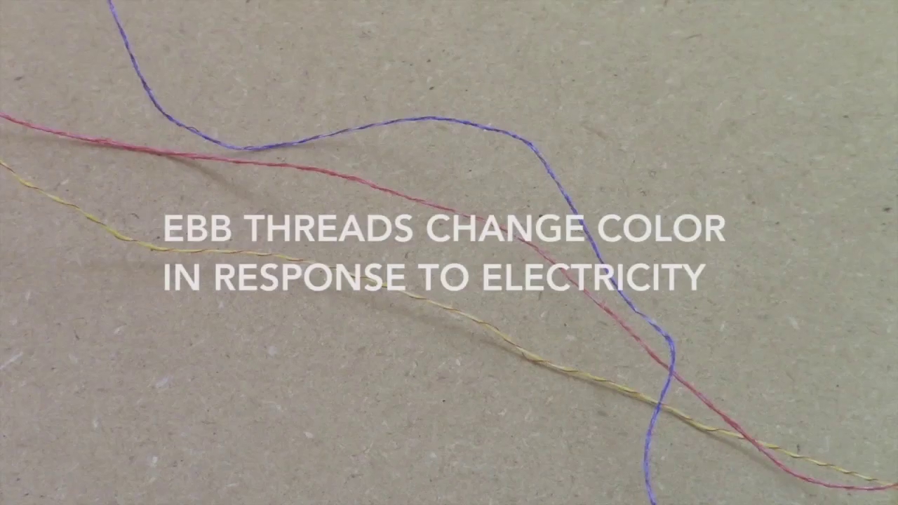 2a0ca9368089dc765700.jpg