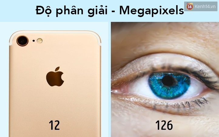 2a44ff5e0c258ea8d1aa.png