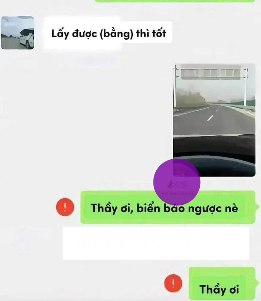 2a683dd2be1d7f5a666e.jpg