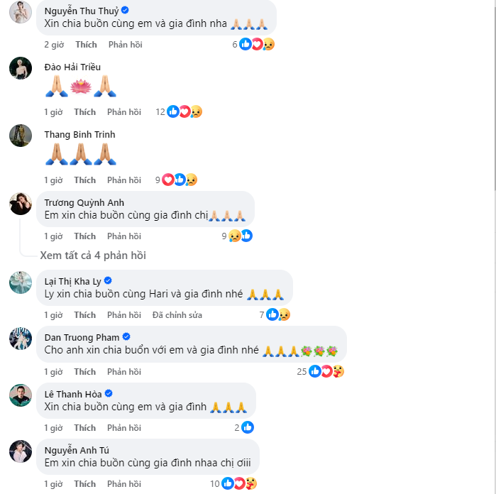 2b0648370598bba25644.png